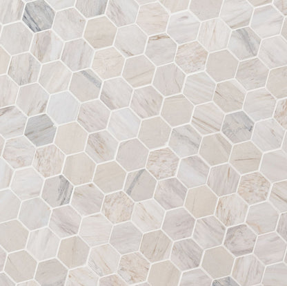 Angora Polished 2" Hexagon Mosaic Tile