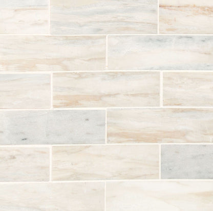 Angora Subway Polished Tile 2x6