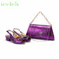 Elegant Low Heels Ladies Shoes And Bag Set