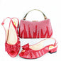 New Shoes And Bag Matching Set HAS1-10