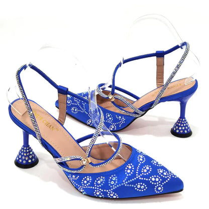 Italian Design Elegant Pumps with Shoes and Bags Matching Set