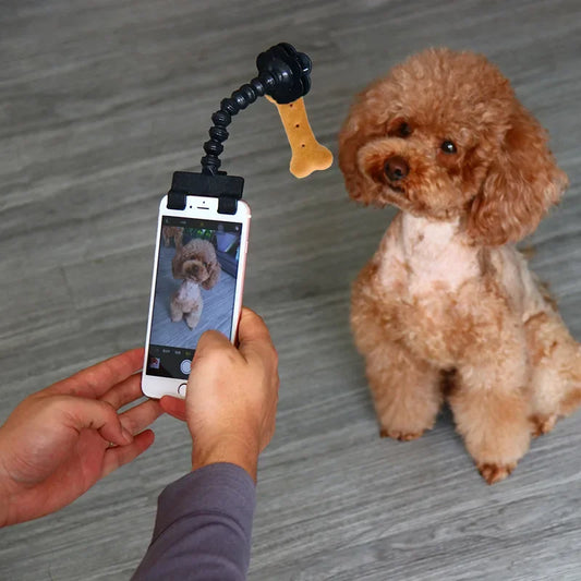 Person taking a photo of a dog with a smartphone and flexible tripod attachment.