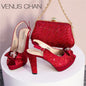 New Fashionable Ladies Shoes Matching Bag Set