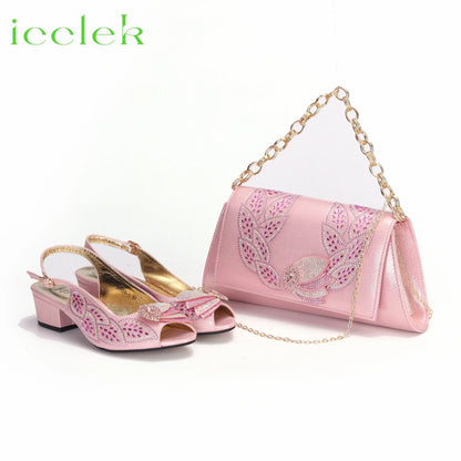 Elegant Low Heels Ladies Shoes And Bag Set