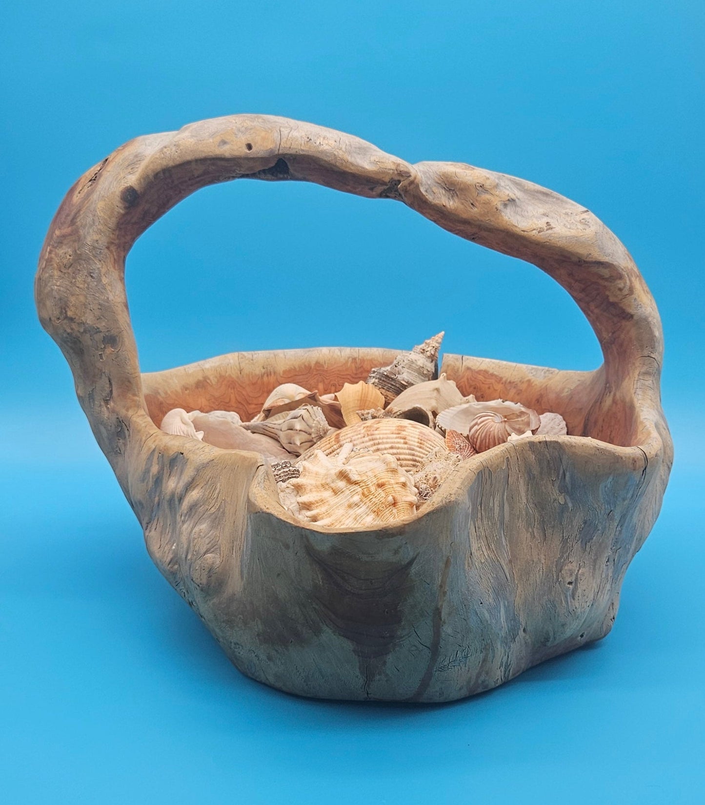 Driftwood Basket with Seashell Assortment – Rustic Coastal Decorative Accent 14.5"