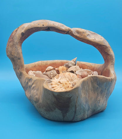 Driftwood Basket with Seashell Assortment – Rustic Coastal Decorative Accent 14.5"