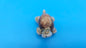 Seashell Critter Magnets – Coastal Home Decor Turtle or Kitty 1.5–2"