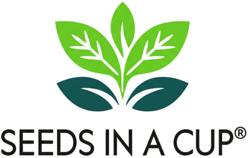 Cabbage | Plant Seed Starter Grow Kit | Seeds In A Cup®