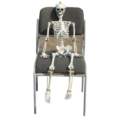 Realistic Skeleton Model