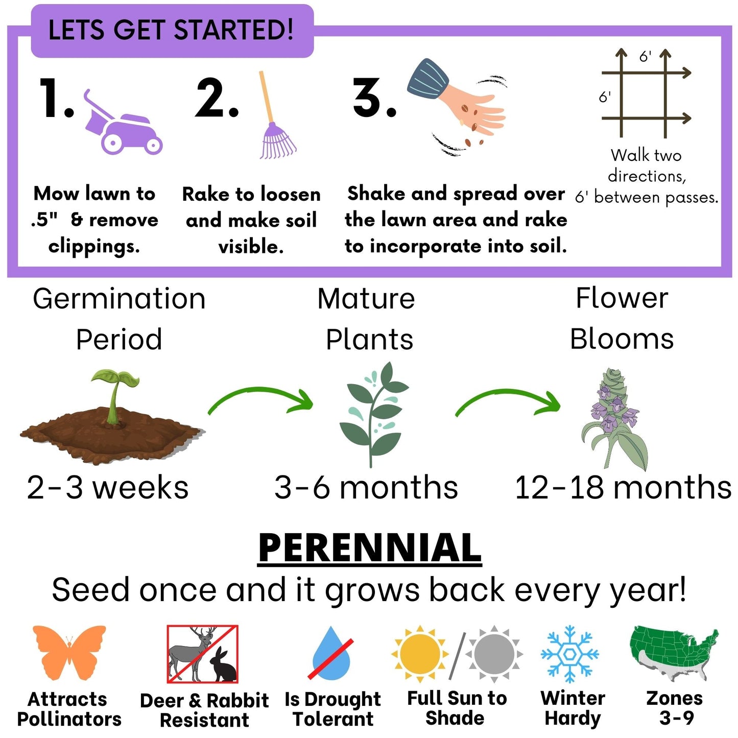 Self-Heal Seed Pouch