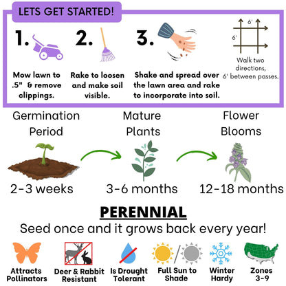 Self-Heal Seed Pouch