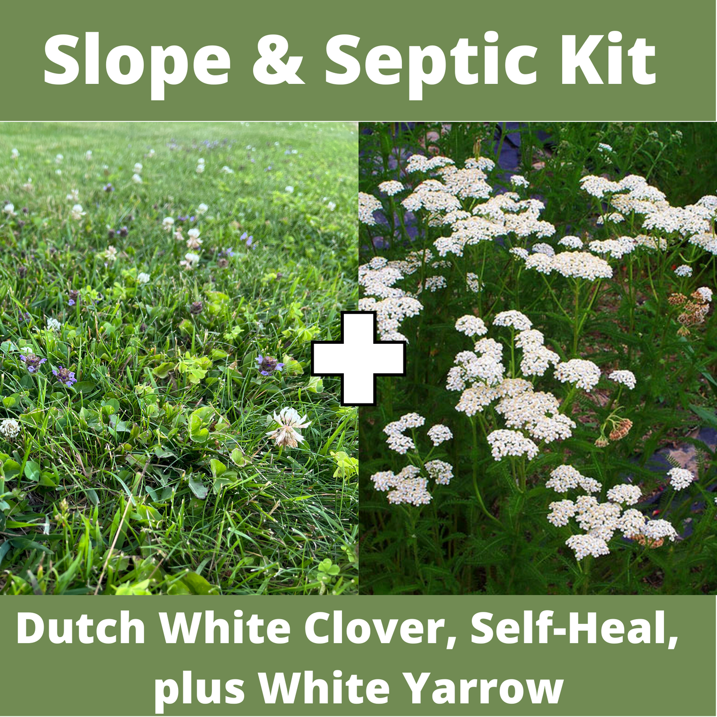 Slope and Septic System Seed Kit
