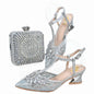 Lastest Shoes And Bag Matching Set HTG1-10