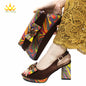 Italian Design Shoes Matching Bag Set