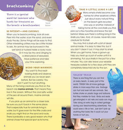 A Walk on the Beach – Boxed Kit