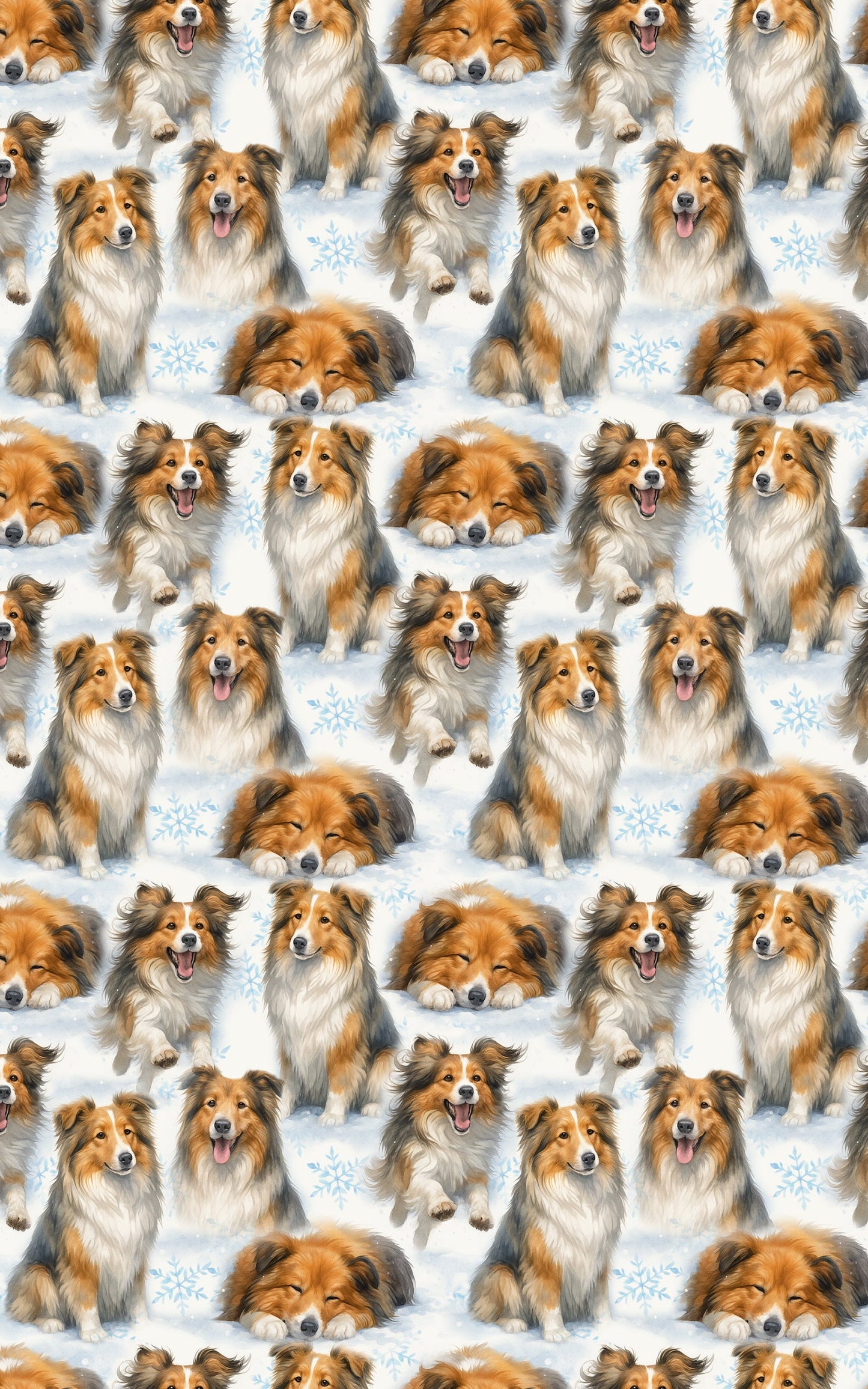 Velvet Steps, Christmas Light