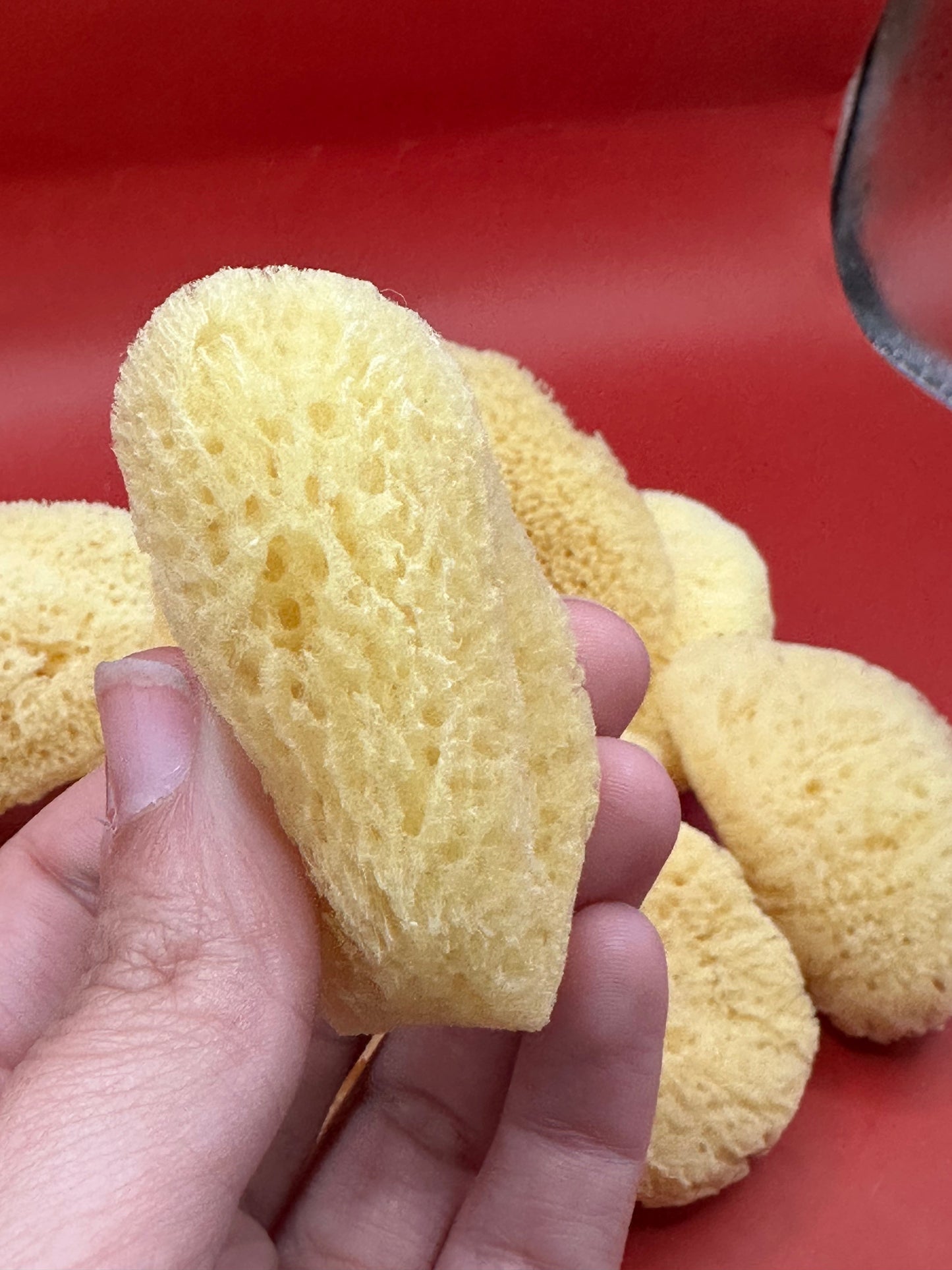 Natural Cosmetic Sea Sponge – 2–2.5"
