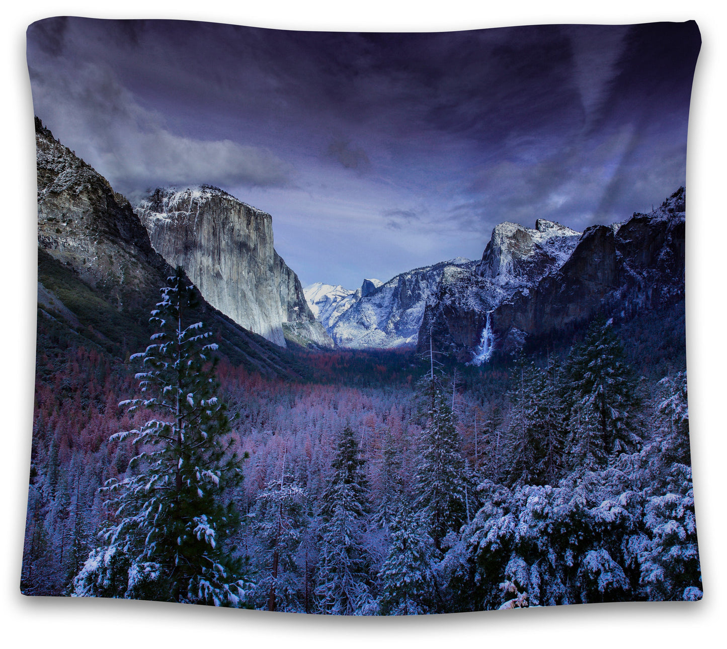 Snowy Forest & Mountains Tapestry
