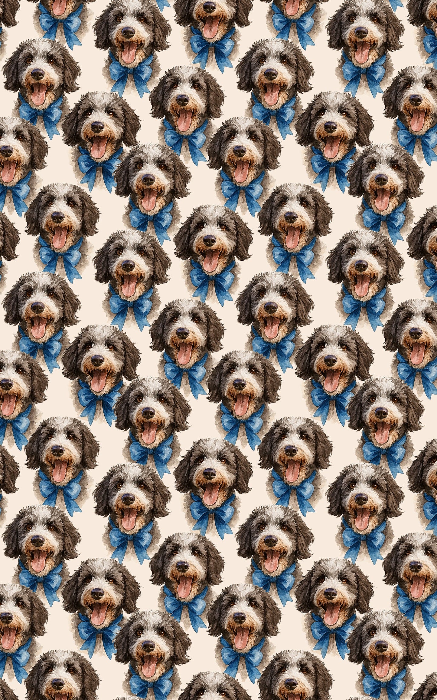 Señor Bow: The Spanish Water Dog