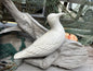 Ceramic Seagull - 2 Styles