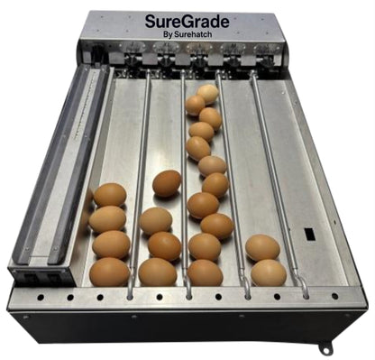 SureGrade™ 750 Egg Grader - Grade 750 Eggs per hour