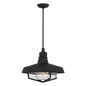 Hollis Large Pendant