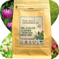 TRI-Color Clover + Mow Less Grass Seed