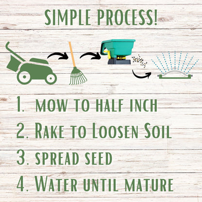 Dutch White Clover + Mow Less Grass Seed