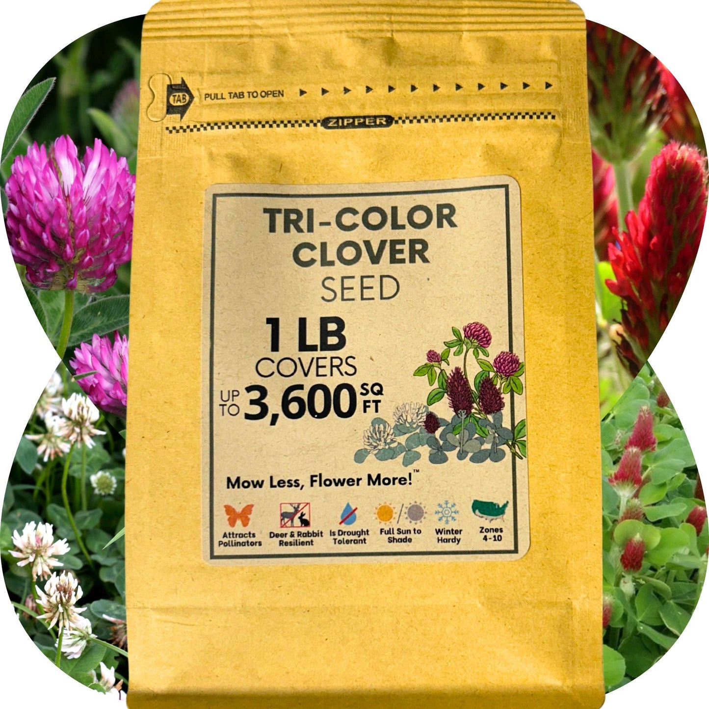 Tri-Color Clover Seed Blend