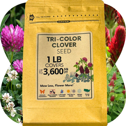 Tri-Color Clover Seed Blend