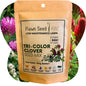 Tri-Color Clover Seed Blend