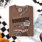 The Most Wonderful Time Of The Year, Reading Skeleton, Halloween, Haunted, Library, Comfort Colors T-Shirt