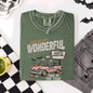 The Most Wonderful Time Of The Year, Reading Skeleton, Halloween, Haunted, Library, Comfort Colors T-Shirt