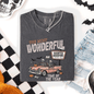 The Most Wonderful Time Of The Year, Reading Skeleton, Halloween, Haunted, Library, Comfort Colors T-Shirt