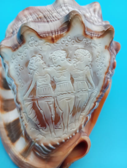 Signed Carved Cameo Three Graces Shell 4.7" – Premium Coastal Decor Accent