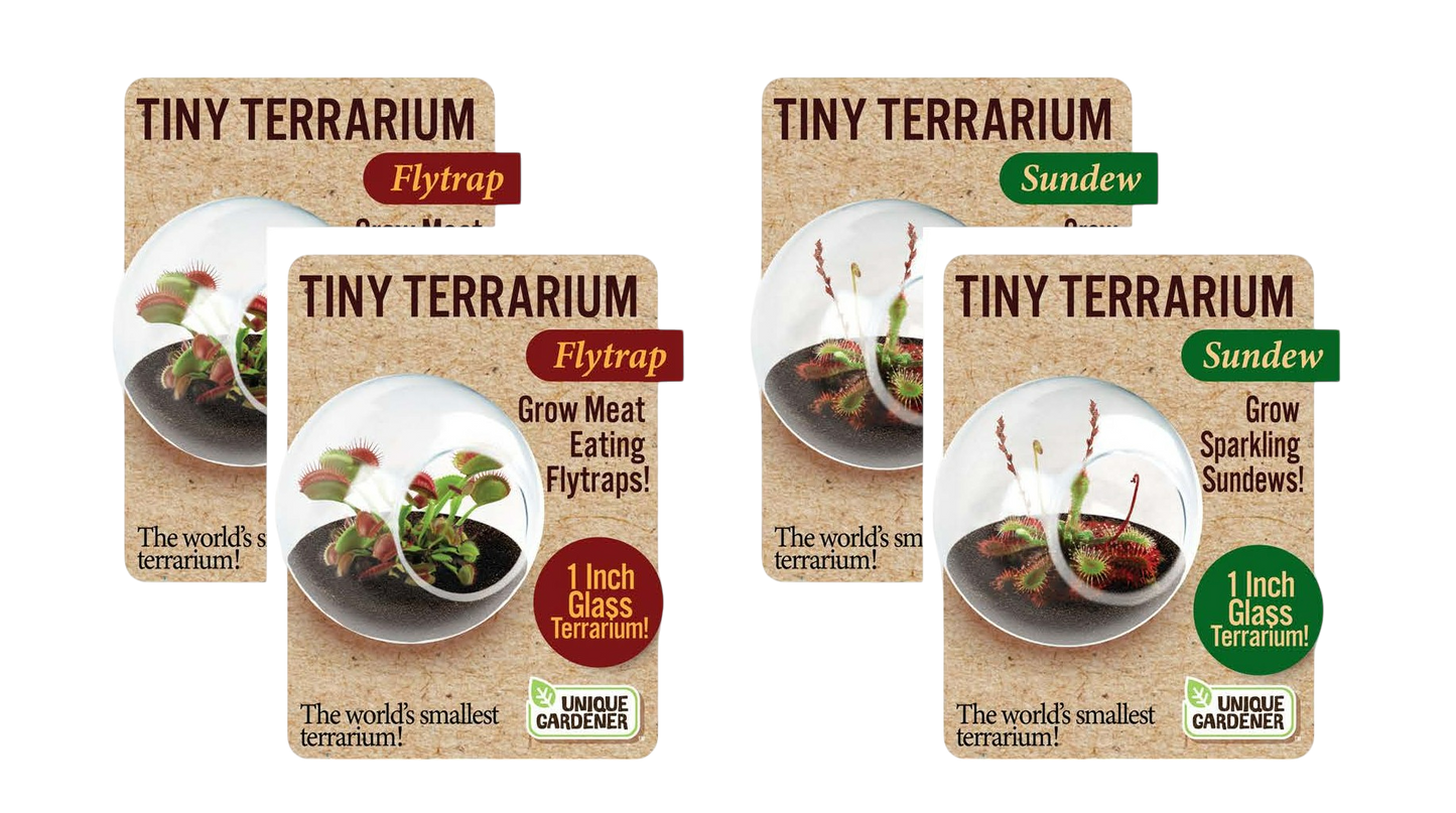 Carnivorous Tiny Terrariums Bundle - 2 each of 2 Varieties
