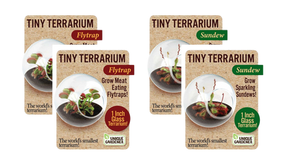 Carnivorous Tiny Terrariums Bundle - 2 each of 2 Varieties