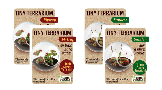 Carnivorous Tiny Terrariums Bundle - 2 each of 2 Varieties