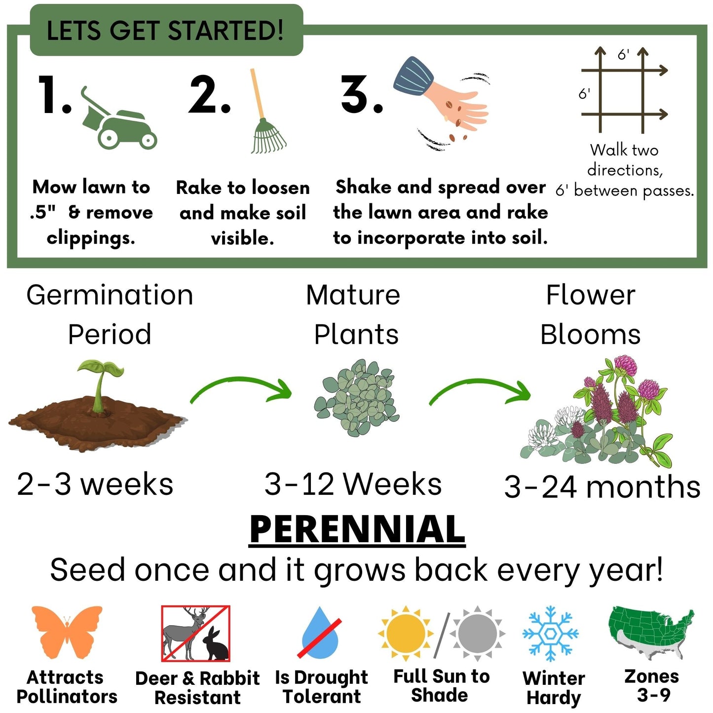 Tri-Color Clover Seed Blend