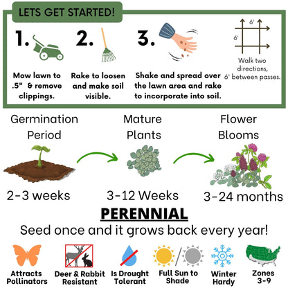 Tri-Color Clover Seed Blend