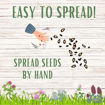 Tri-Color Clover Seed Blend