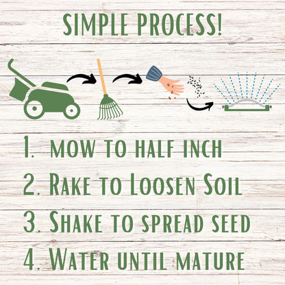 Tri-Color Clover Seed Blend