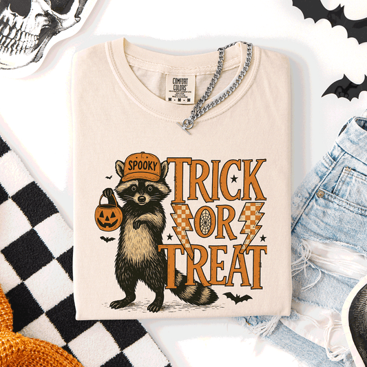 Trick or Treat Raccoon, Cute, Halloween, Spooky, Comfort Colors T-Shirt