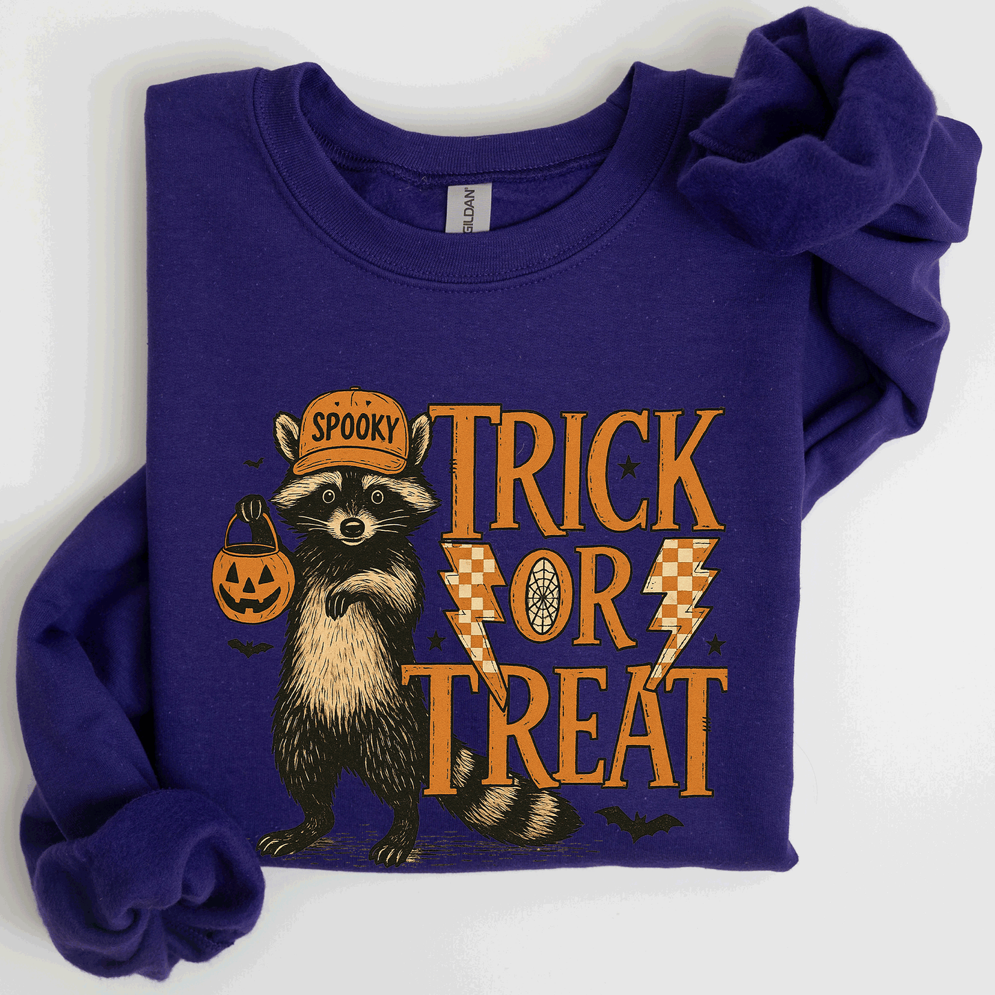 Trick or Treat Raccoon, Cute, Halloween, Spooky Sweatshirt