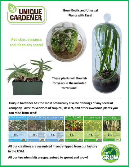 The Meat Eating Mouse Garden Glass Terrarium with Cork