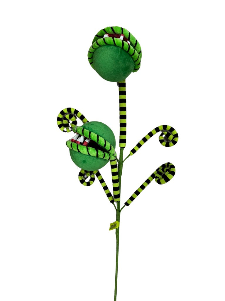 Carnivorous Plant Curly Spray