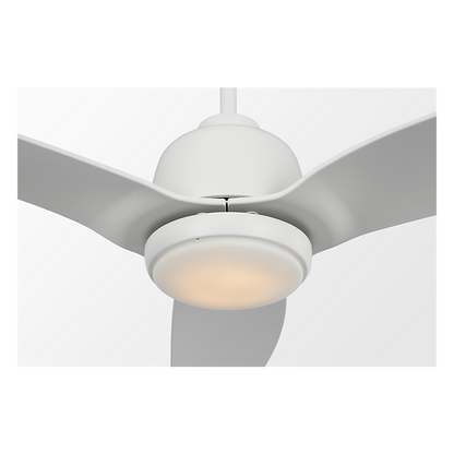 Avila Coastal 60" LED Ceiling Fan