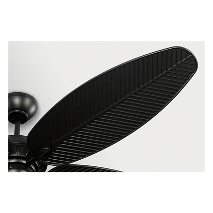 Cruise Outdoor 60" Ceiling Fan