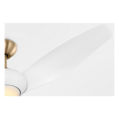 Topan Smart 52" LED Ceiling Fan