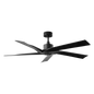 Aspen Coastal 56" Ceiling Fan